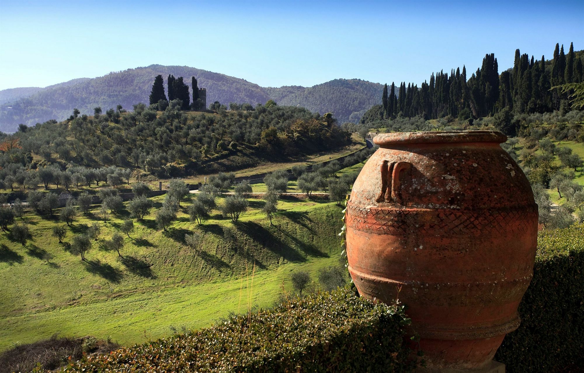 Torre A Cona Wine Estate Hotel San Donato in Collina Bagian luar foto